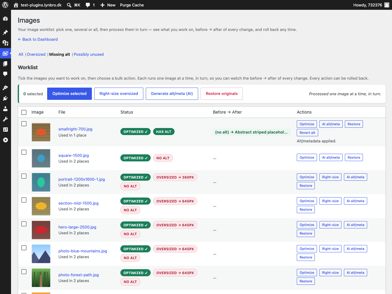 AI-generated alt text with a verdict confirming it matches the page context