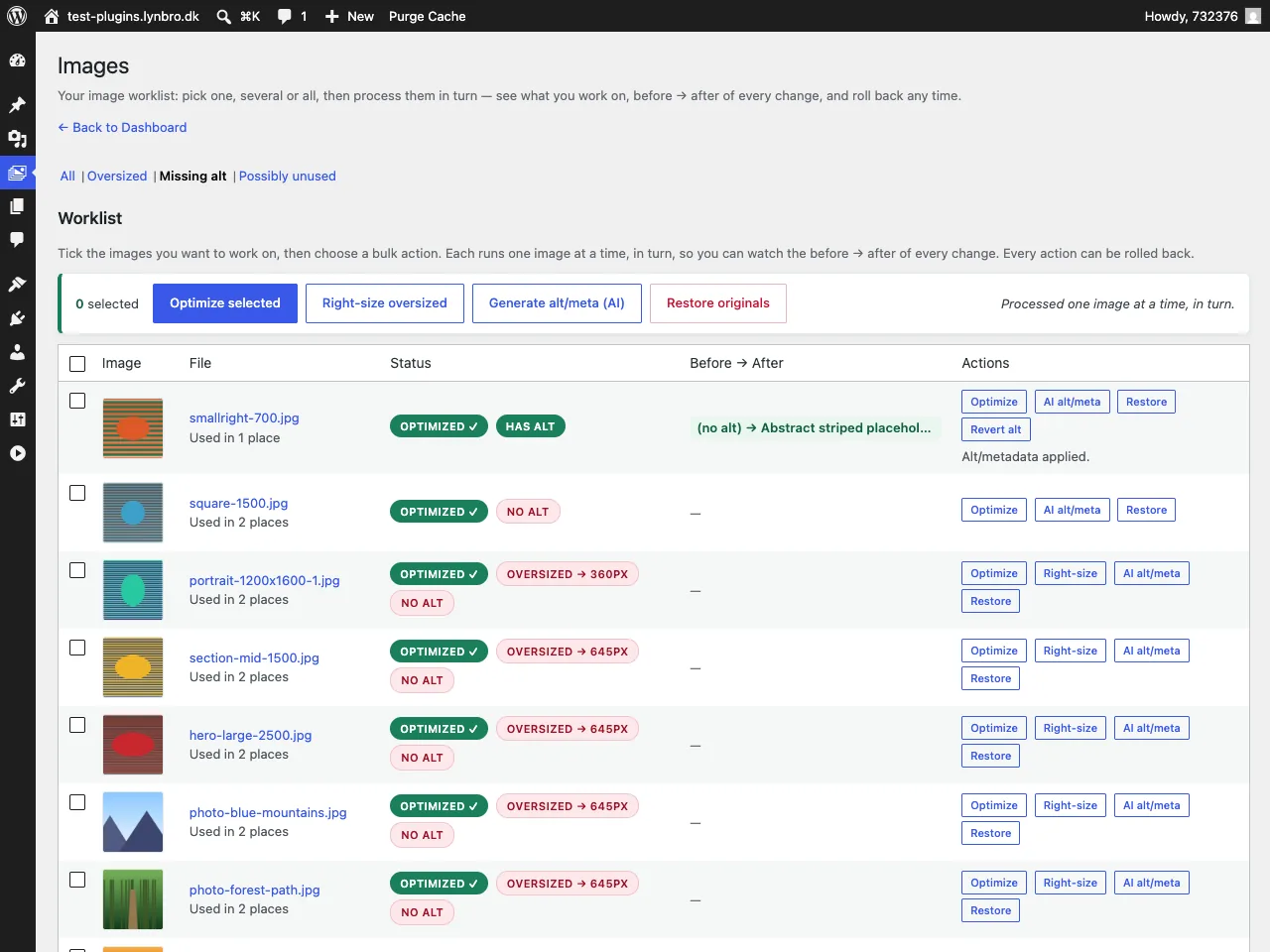 AI-generated alt text with a verdict confirming it matches the page context